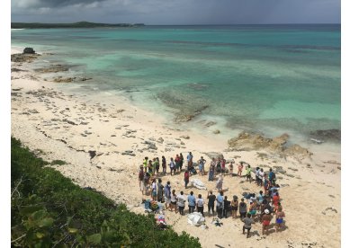 ONU incentiva mutires de limpeza de praias em setembro - mobilize sua igreja